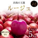 真珠の玉葱 ルージュ Lサイズ 5kg