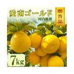 愛南ゴールド 河内晩柑 約7kg