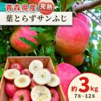 完熟 りんご 葉とらずサンふじ 3kg