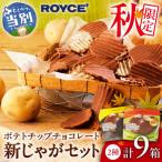 ROYCE ポテトチップチョコレート 9個セット_tb01-021