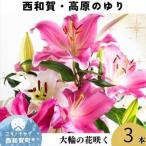 高原ふれあい産直 西和賀 高原のユリ 3本