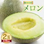 メロン 肥後グリーン 約4kg