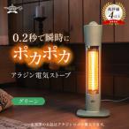 アラジン 遠赤 グラファイトヒーター 1灯