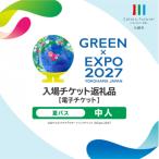 GREEN×EXPO 入場チケット 夏パス