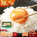 ヒラノのタマゴ 輝黄卵 きおうらん 72個
