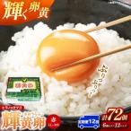 ヒラノのタマゴ 輝黄卵 きおうらん 72個