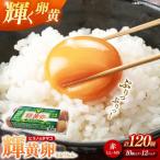 ヒラノのタマゴ 輝黄卵 きおうらん 120個