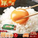ヒラノのタマゴ 輝黄卵 きおうらん 120個