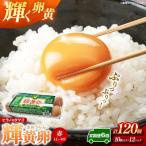 ヒラノのタマゴ 輝黄卵 きおうらん 120個