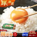 ヒラノのタマゴ 輝黄卵 きおうらん 120個