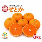 訳あり せとか 5kg