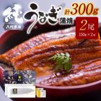 うなぎ蒲焼2尾セット 150g×2尾