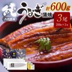うなぎ蒲焼3尾セット 200g×3尾