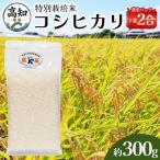 米 コシヒカリ 2合