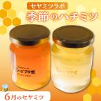 セヤミツラボの季節のハチミツ 5月のセヤミツ