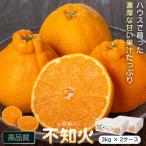 産不知火 しらぬい A18008