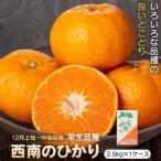 産西南のひかり P18001