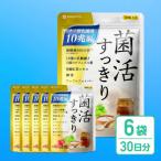 乳酸菌サプリメント 6袋