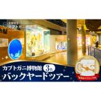 バックヤードツアー 記念品 マグカップ 付き 3名
