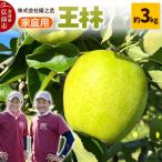 りんご 王林 約3kg