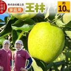 りんご 王林 約10kg