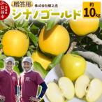 りんご 千雪 約10kg