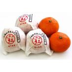 越冬さぬき紅みかん 約3kg