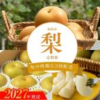 福島の梨3回定期便_ED-2 No.3498