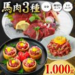 馬肉 3種1000g 赤身400g トロユッケ300g