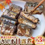 気仙沼産 さんま甘露煮 セット 100g