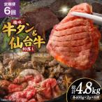 定期便 6回 牛タン 牛肉 お肉の堪能セット