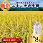 アースコネクト ユキノチカラ米 銀河のしずく