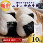 アースコネクト ユキノチカラ米 銀河のしずく