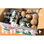 令和9年産 お米と秋野菜セット 野菜セット