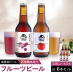 南信州ビール フルーツビール6本セット
