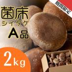 ファーム吉五郎 菌床シイタケA品2kg