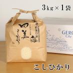 2026年10月下旬頃 新米 コシヒカリ 3kg×1袋