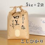 2026年10月下旬頃 新米 コシヒカリ 5kg×2袋