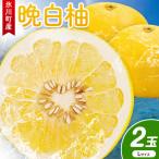 晩白柚 2玉