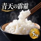 米 青天の霹靂 5カ月定期便 白米5kg 特Aブランド米