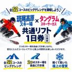 斑尾全山共通券 マウンテンパス 1日リフト券引換券 1枚