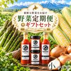 令和9年産 本山農場の野菜定期便 4回便