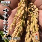 定期便6ヵ月 令和8年産 瀬戸内 自然栽培米