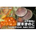 山中栽培の原木キノコ2点セット