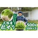 秋セリ 55P079001 東北 秋田 大館