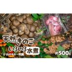天然きのこいろいろ水煮