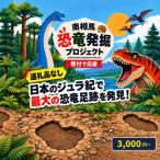 南相馬市への寄付（返礼品なし）