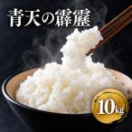 米 青天の霹靂 3カ月定期便 白米10kg 5kg×2袋