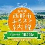 西都市への寄付（返礼品なし）