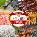 お肉 定期便 全6回お届け